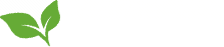 Energico