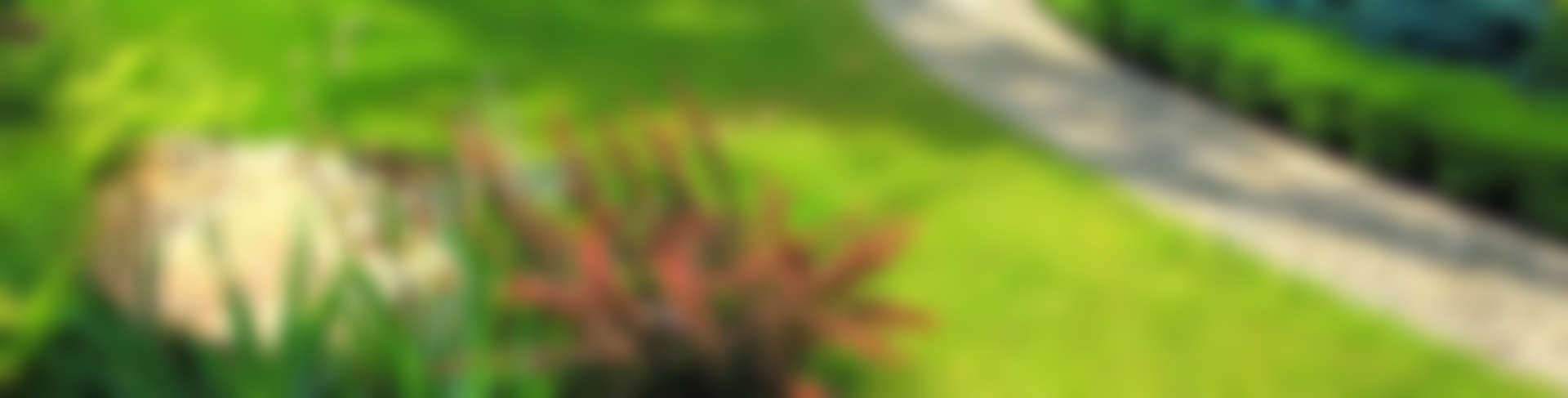 Garden Design & Landscaping